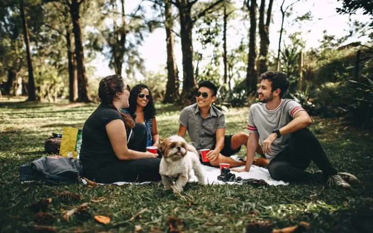 Why Healthy Friendships Are Important for Mental Health