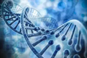 Is Addiction Genetic Is Addiction Genetic