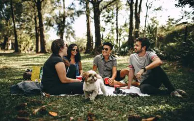 Why Healthy Friendships Are Important for Mental Health