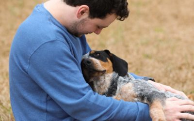 How Can My Pet Help My Recovery?