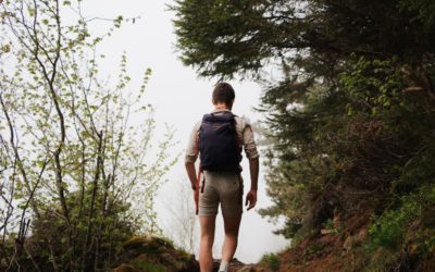 How to Combat Cravings in Recovery